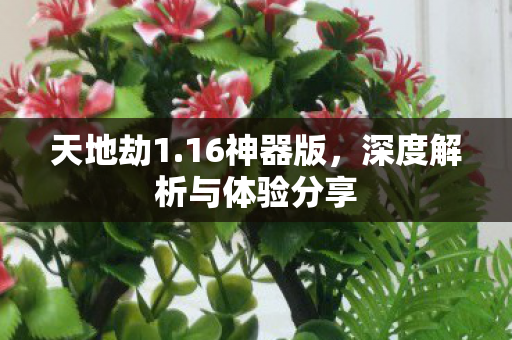 深度解析与体验分享图片