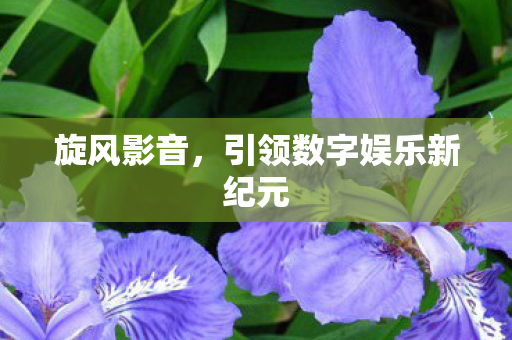 引领数字娱乐新纪元图片