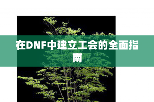 在DNF中建立工会的全面指南图片
