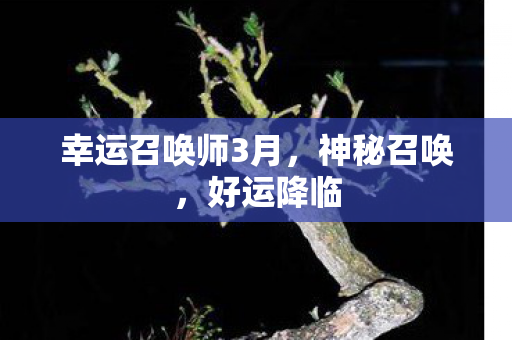 幸运召唤师3月图片