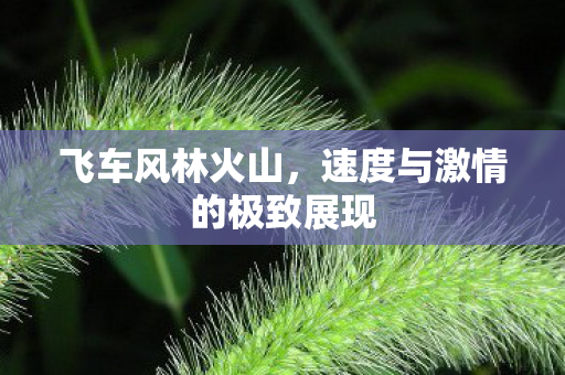 速度与激情的极致展现图片