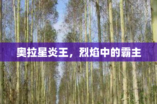 烈焰中的霸主图片