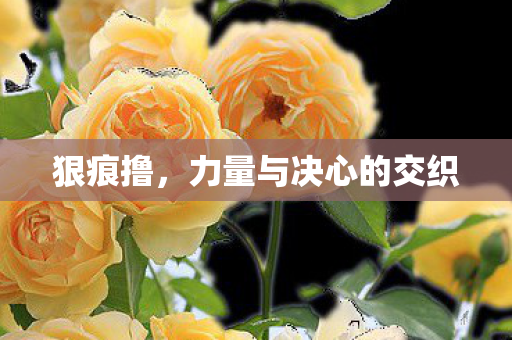 力量与决心的交织图片