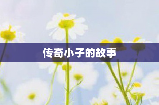 传奇小子的故事图片