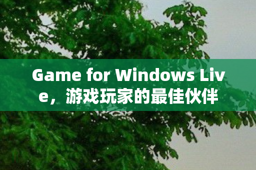Game for Windows Live图片