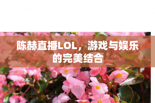 游戏与娱乐的完美结合图片
