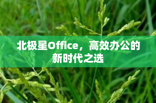 高效办公的新时代之选图片