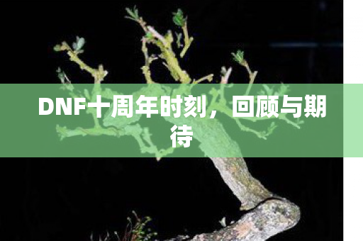 DNF十周年时刻图片