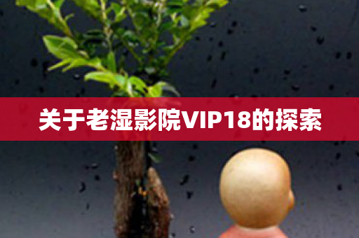 关于老湿影院VIP18的探索图片