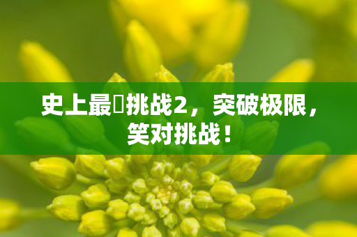 史上最囧挑战2图片