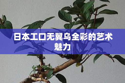日本工口无翼乌全彩的艺术魅力图片
