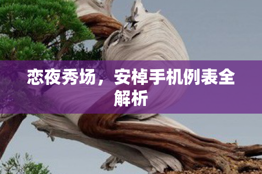 安棹手机例表全解析图片