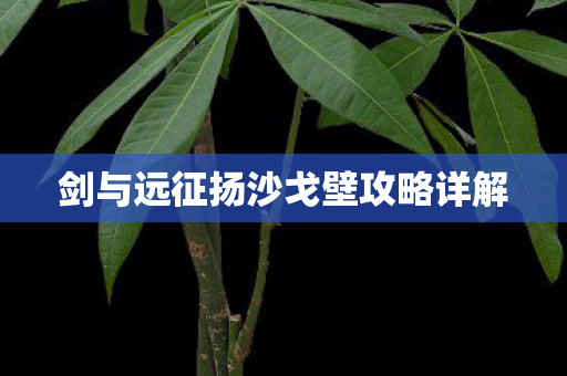 剑与远征扬沙戈壁攻略详解图片