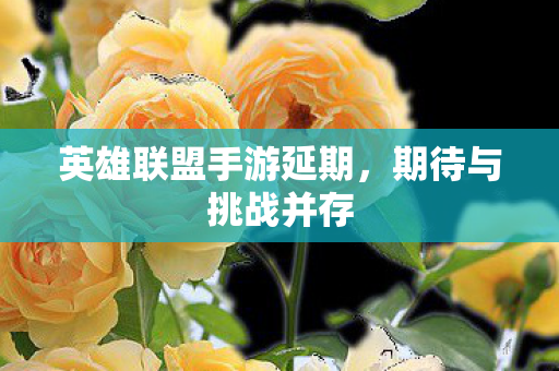英雄联盟手游延期图片