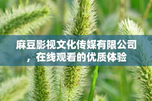 麻豆影视文化传媒有限公司图片