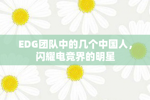 EDG团队中的几个中国人图片