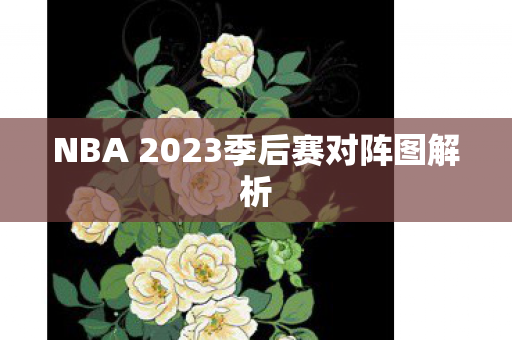 NBA 2023季后赛对阵图解析图片