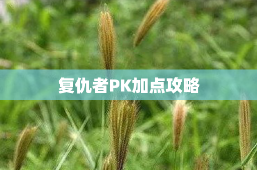 复仇者PK加点攻略图片