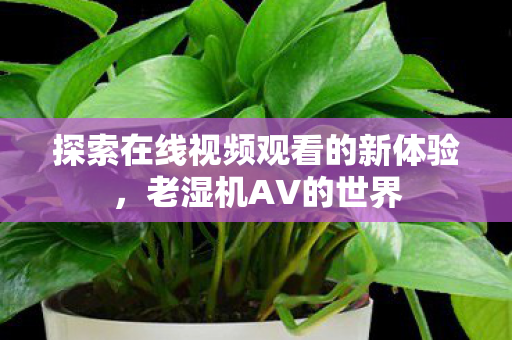 探索在线视频观看的新体验图片