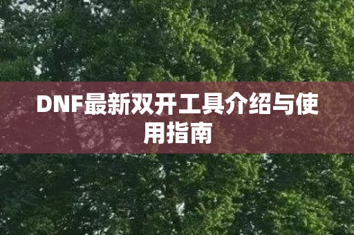DNF最新双开工具介绍与使用指南图片