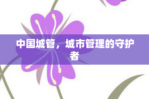 城市管理的守护者图片