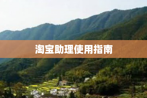 淘宝助理使用指南图片
