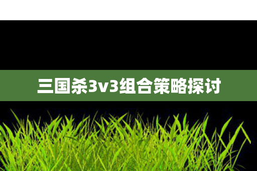 三国杀3v3组合策略探讨图片