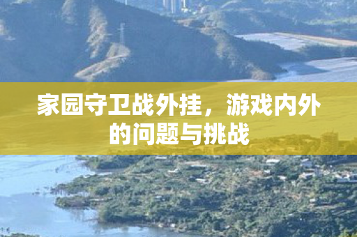 游戏内外的问题与挑战图片