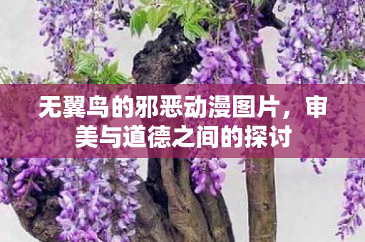 无翼鸟的邪恶动漫图片图片