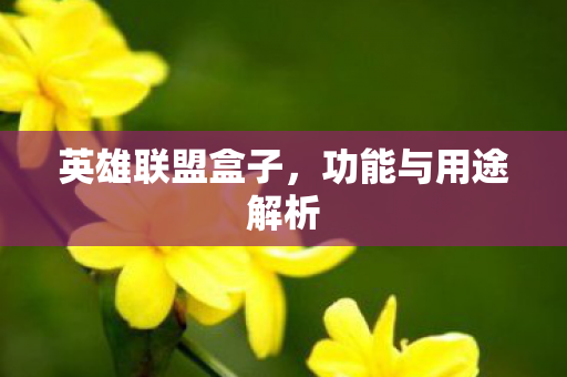 功能与用途解析图片