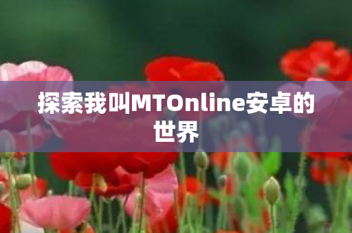 探索我叫MTOnline安卓的世界图片