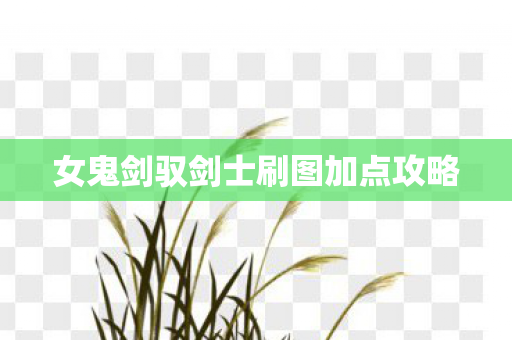 女鬼剑驭剑士刷图加点攻略图片