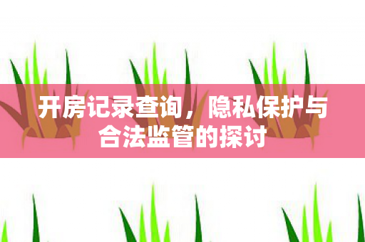 隐私保护与合法监管的探讨图片