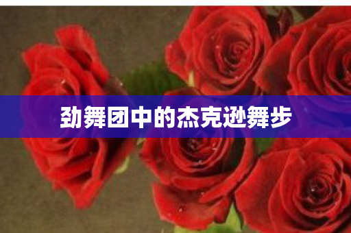 劲舞团中的杰克逊舞步图片