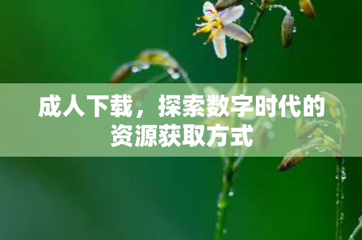 探索数字时代的资源获取方式图片
