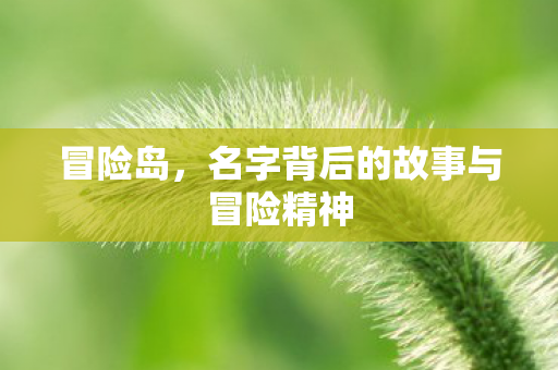 名字背后的故事与冒险精神图片