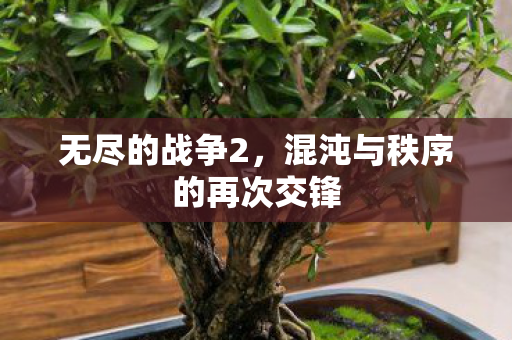 混沌与秩序的再次交锋图片