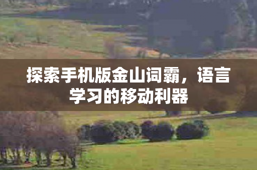 探索手机版金山词霸图片