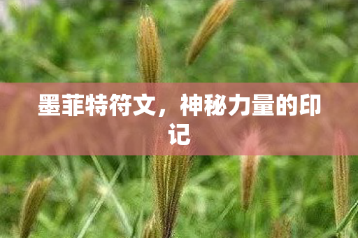 神秘力量的印记图片
