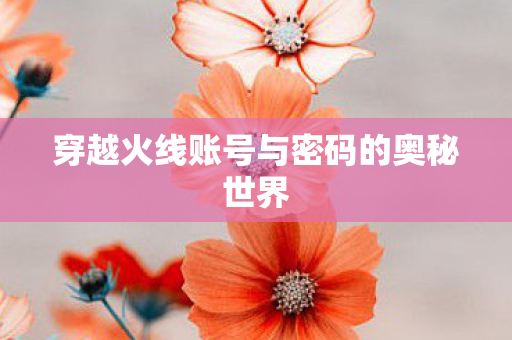 穿越火线账号与密码的奥秘世界图片