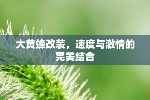 速度与激情的完美结合图片