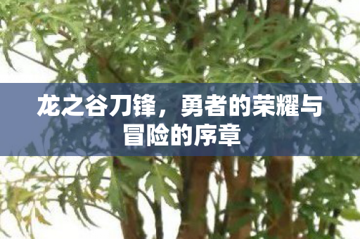 勇者的荣耀与冒险的序章图片
