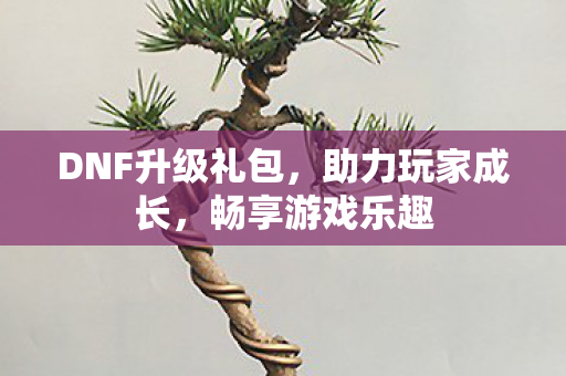 DNF升级礼包图片
