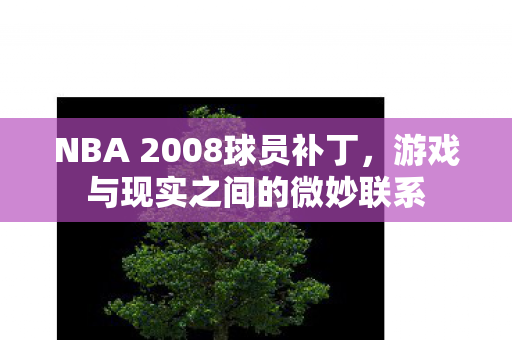 NBA 2008球员补丁图片