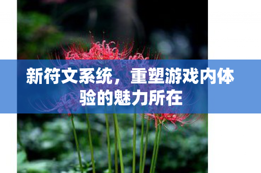 重塑游戏内体验的魅力所在图片