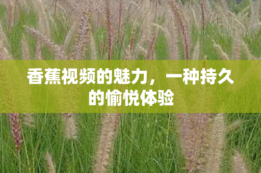 一种持久的愉悦体验图片