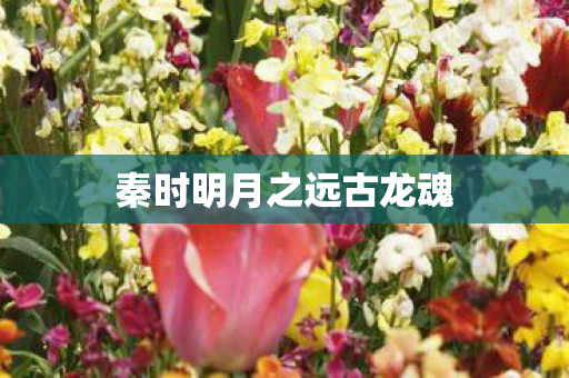 秦时明月之远古龙魂图片