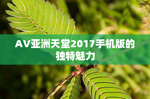 AV亚洲天堂2017手机版的独特魅力图片