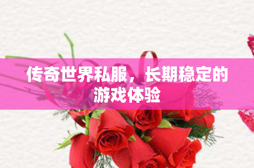 长期稳定的游戏体验图片