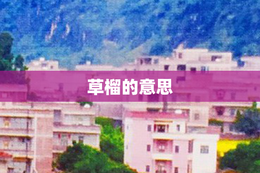草榴的意思图片